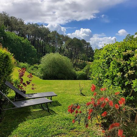 Appartement Calme Avec Jardin Bidart Biarritz ภายนอก รูปภาพ