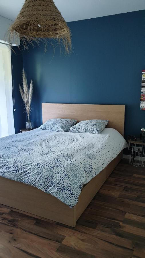 Appartement Calme Avec Jardin Bidart Biarritz ภายนอก รูปภาพ