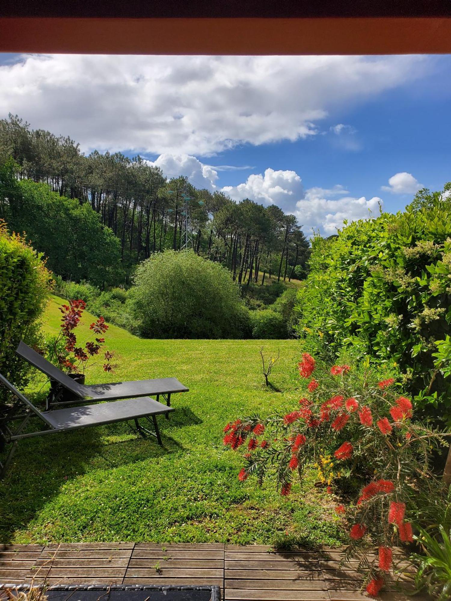 Appartement Calme Avec Jardin Bidart Biarritz ภายนอก รูปภาพ